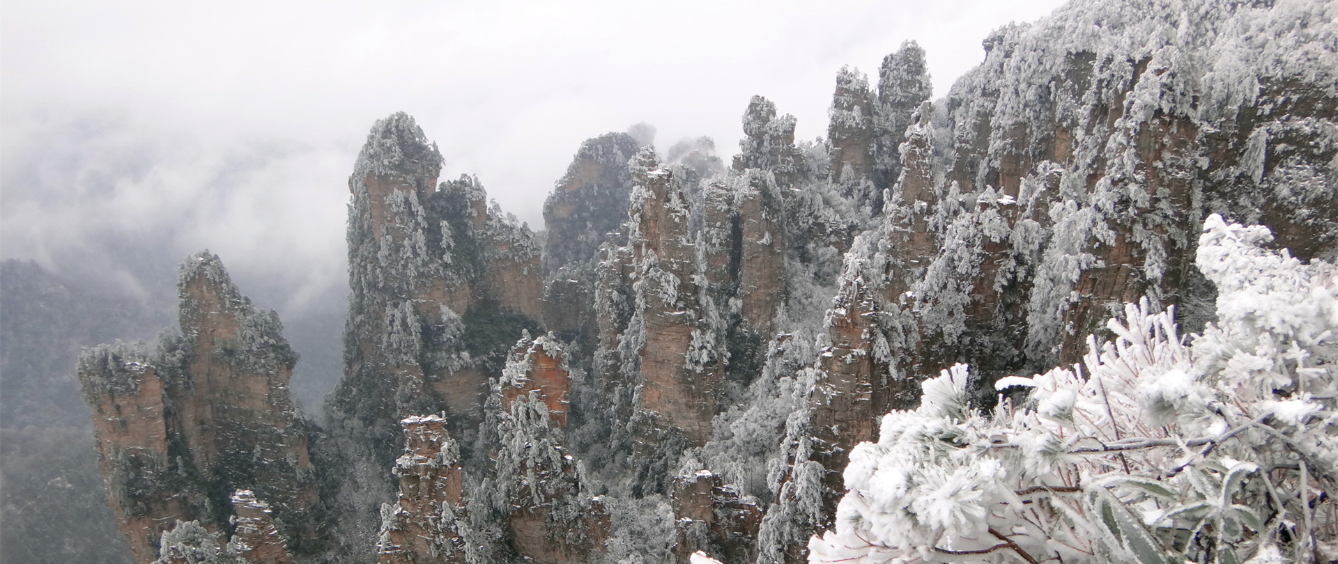 Tianzi Mountain .jpg