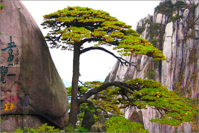 3 Days Classic Huangshan Tour 