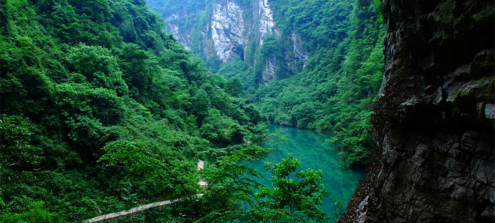 Zhangjiajie Grand Canyon.jpg